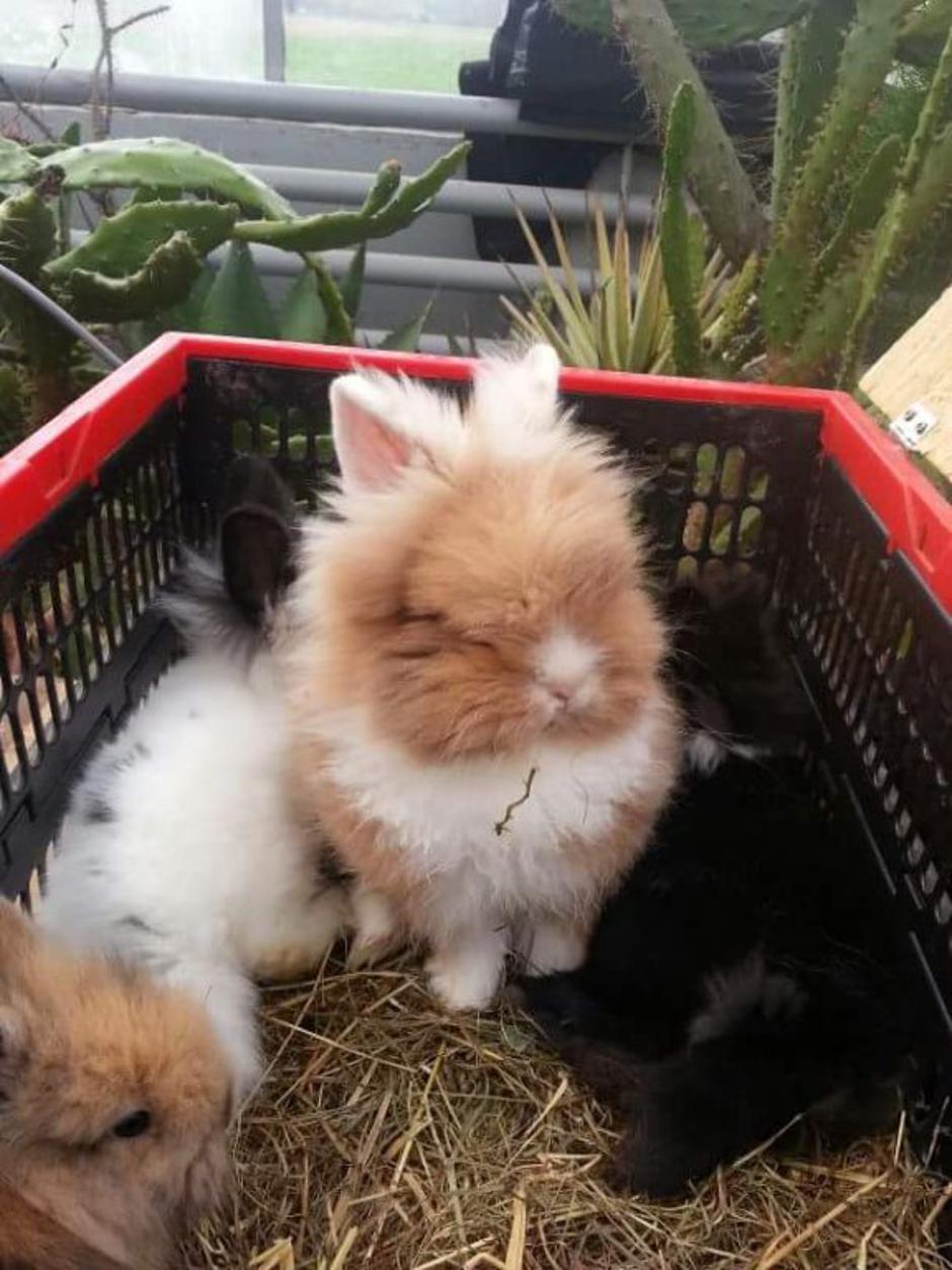 21. Bioexo | Avtor: Bioexo