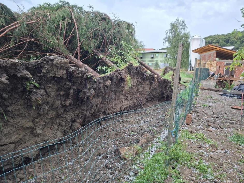 Sveti Andraž v Slovenskih goricah posledice neurja