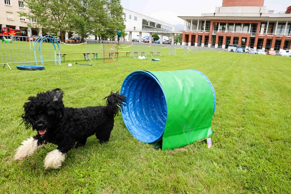 Festival za ljubitelje živali 2023 | Avtor: Saša Despot