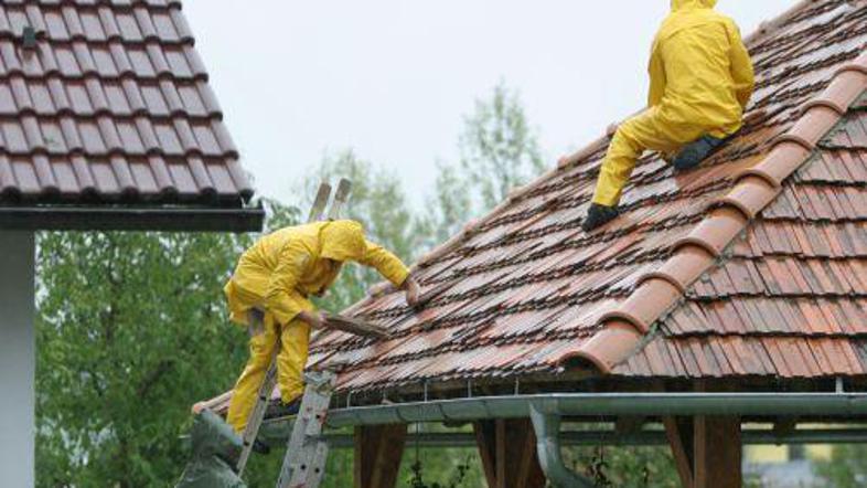 neurje__1130908_zurnal